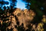 420 Shetland Circle - Photo 46