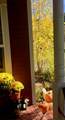 38 Huckleberry - Photo 22