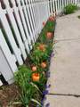 38 Huckleberry - Photo 24