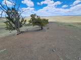 5250 Uxta Trail - Photo 17