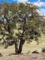5250 Uxta Trail - Photo 23