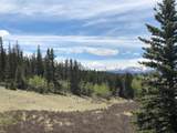 446 Chief Trail - Photo 23