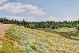 446 Chief Trail - Photo 25