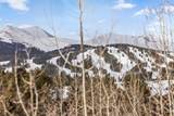 600 Columbine Road - Photo 29