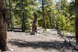 1171 Co Rd 787 - Photo 16