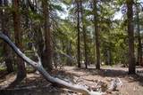 1171 Co Rd 787 - Photo 18