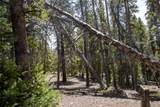 1171 Co Rd 787 - Photo 33