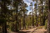 1171 Co Rd 787 - Photo 37