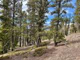 1171 Co Rd 787 - Photo 44