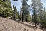 1171 Co Rd 787 - Photo 45