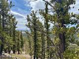 1171 Co Rd 787 - Photo 6