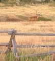 26000 Deerwood Lane - Photo 35