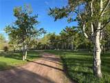 26000 Deerwood Lane - Photo 4