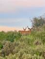 26000 Deerwood Lane - Photo 44