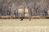 26185 Us Highway 40 - Photo 28