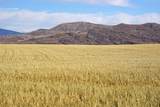 26185 Us Highway 40 - Photo 33