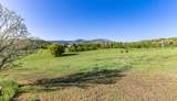 30955 Whitecotton Court - Photo 41