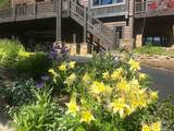 103 Blue Flag Drive - Photo 41