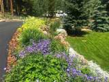 103 Blue Flag Drive - Photo 43