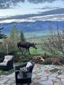 35525 Humble Road - Photo 48