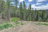 205 Blueberry Trail - Photo 11