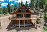 205 Blueberry Trail - Photo 3