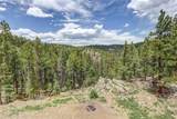 205 Blueberry Trail - Photo 43