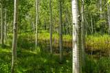 389 Routt Forest Loop - Photo 42