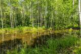 389 Routt Forest Loop - Photo 43