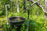 389 Routt Forest Loop - Photo 48