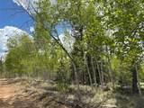 514 Chief Trail - Photo 10