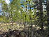 514 Chief Trail - Photo 2