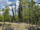 514 Chief Trail - Photo 3