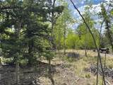 514 Chief Trail - Photo 4