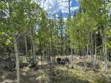 514 Chief Trail - Photo 7