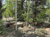 514 Chief Trail - Photo 9