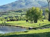 33690 Us Highway 40 - Photo 19