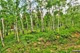 605 Lamb Mountain Road - Photo 17