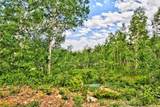 605 Lamb Mountain Road - Photo 20