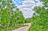 605 Lamb Mountain Road - Photo 24