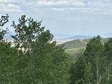 605 Lamb Mountain Road - Photo 28