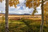 50430 County Road 56A - Photo 39