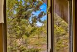 16 Red Cloud Drive - Photo 41
