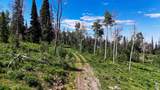 51735 County Road 80 - Photo 16