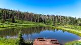 51735 County Road 80 - Photo 4