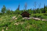 51735 County Road 80 - Photo 44