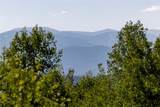 240 Two Cabins Drive - Photo 42