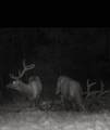 19455 County Road 29 - Photo 39