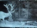 19455 County Road 29 - Photo 5