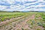 1238 Chicha Road - Photo 4